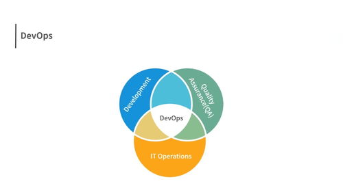 软件测试基础 聚焦云溪软件开发模型及其特点