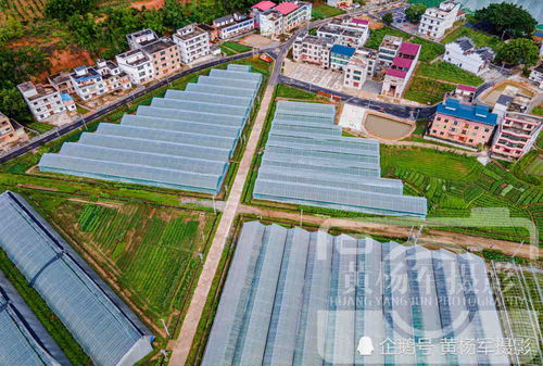 揭秘江西蔬菜产业重镇 富硒之乡——信丰县