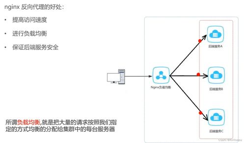 苍穹外卖开发笔记（一） 项目概览与环境搭建